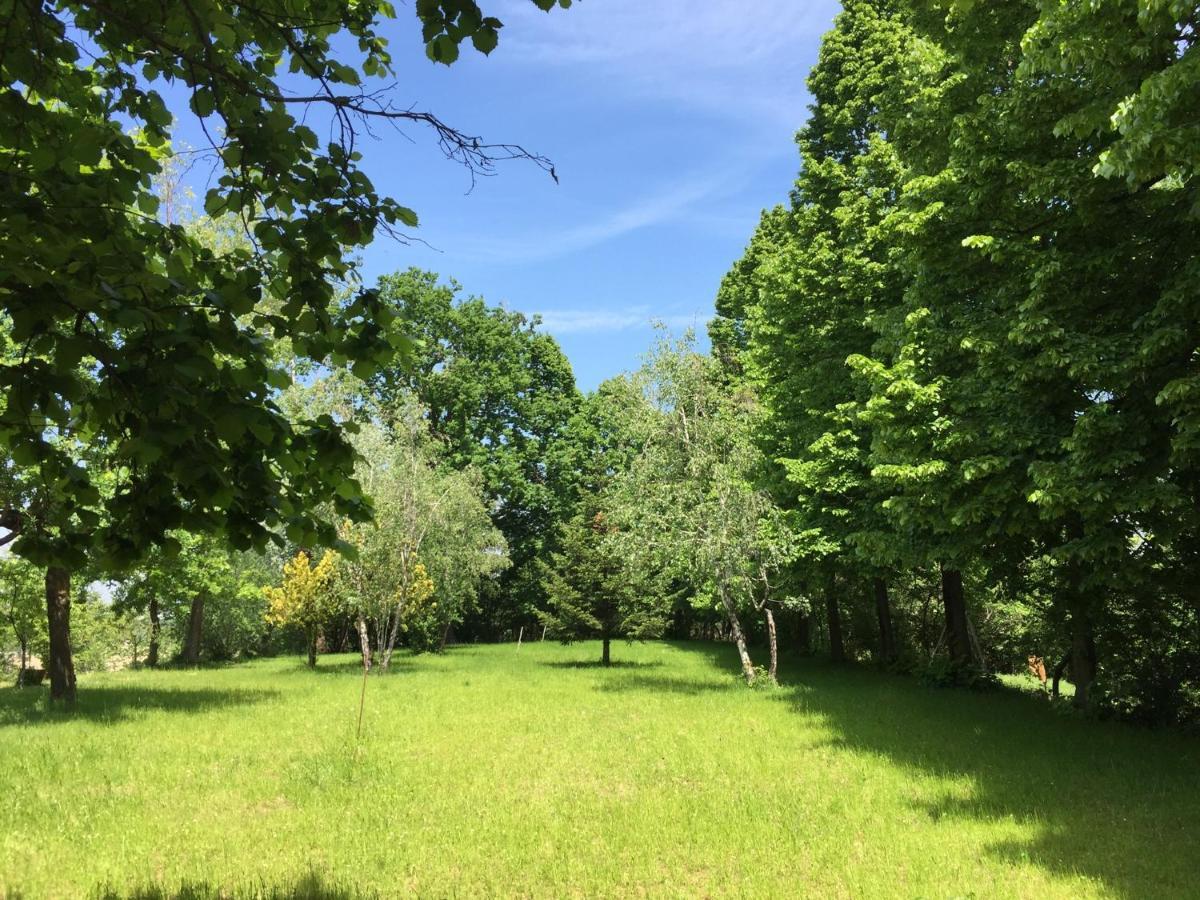 Happy Hill - Appartamento Quercia - Natura E Relax Santa Maria Rocca Exterior photo